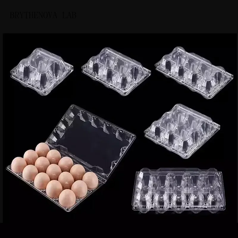 Event Party Box - 20 個使い捨てプラスチック卵箱透明厚い耐落下圧卵トレイ中型保護包装箱